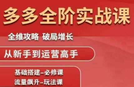 大炮·拼多多全阶实战课程(更新10月)-鹰眼AI