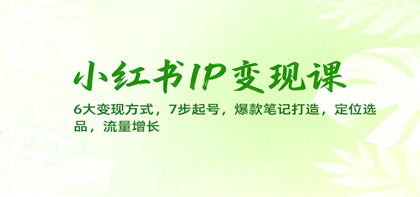 小红书IP变现课：6大变现方式，7步起号，爆款笔记打造，定位选品，流量增长-鹰眼AI